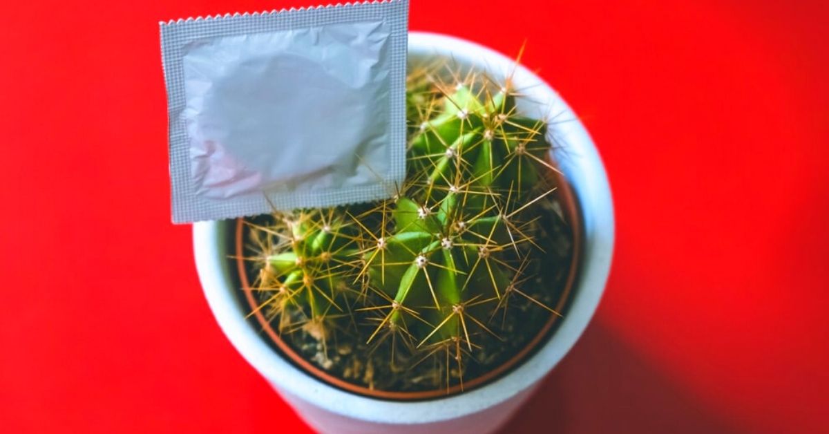 Презерватив на кактусі